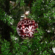 6' Green and Red Musical Lighted Snowing Artificial Christmas Tree, White LED Lights - Image 3